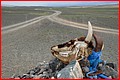 La_Route_067.jpg