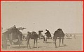 FRANOM16_8FI_444_V030N099.jpg
