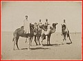 FRANOM16_8FI_444_V031N105.jpg