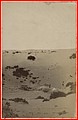 FRANOM16_8FI_444_V032N106.jpg