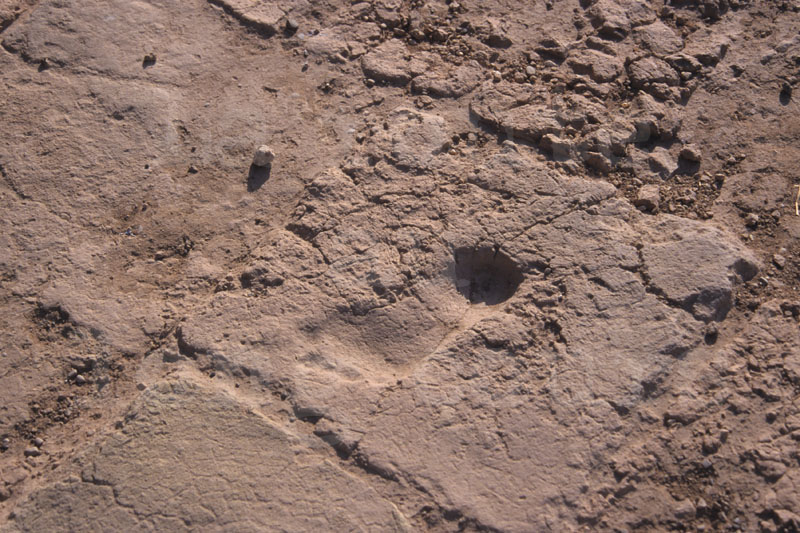 Iran_136.jpg