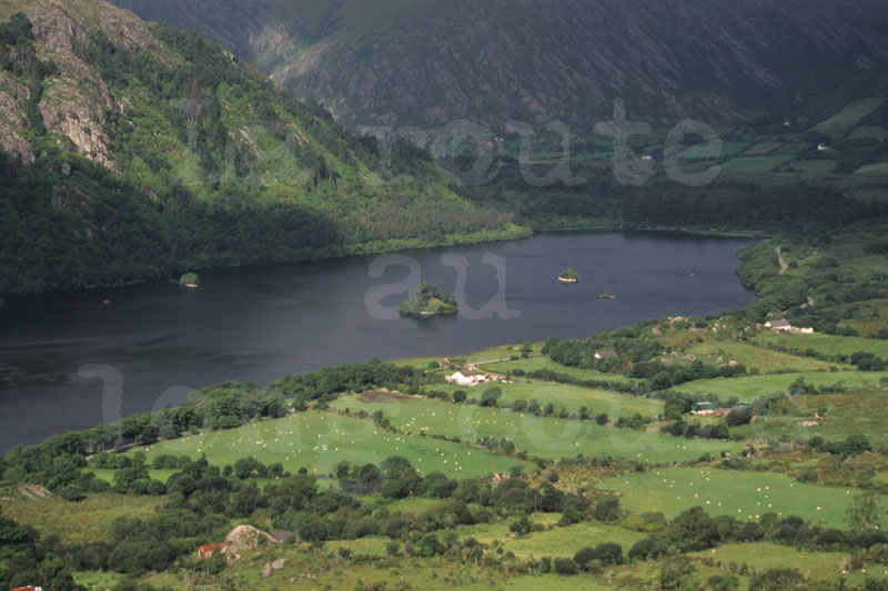 Irlande_085.jpg