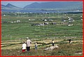 Irlande_045.jpg