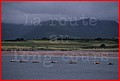 Irlande_050.jpg