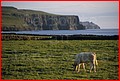 Irlande_077.jpg