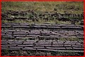 Irlande_084.jpg
