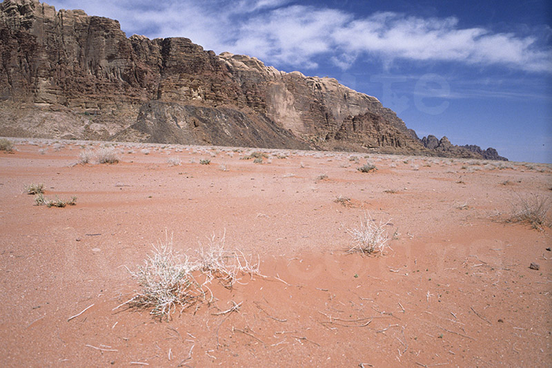 Jordanie_64.jpg