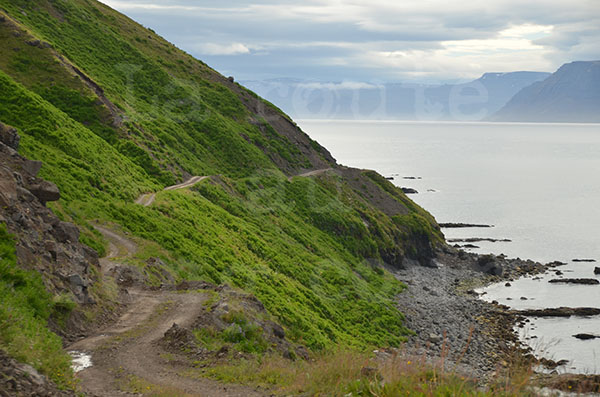 islande pninsule de pingeyri piste route montagne falaise ocan fjord