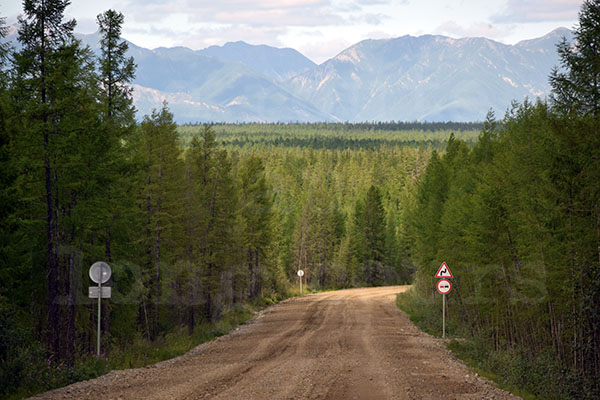 kolyma