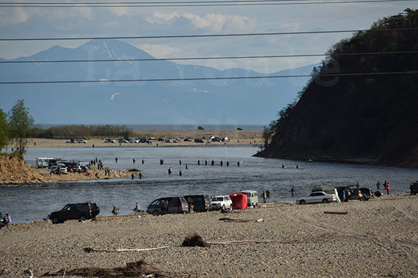 Kolyma pche