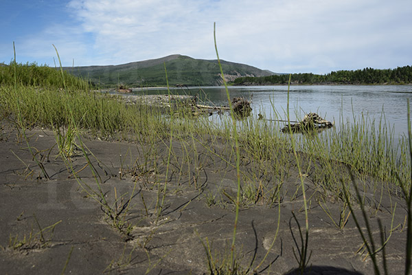 fleuve Kolyma