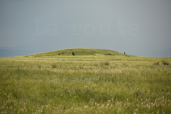 kurgan tumulus sythe