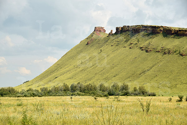 kakassie