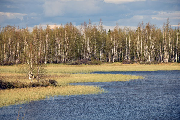 nature toundra