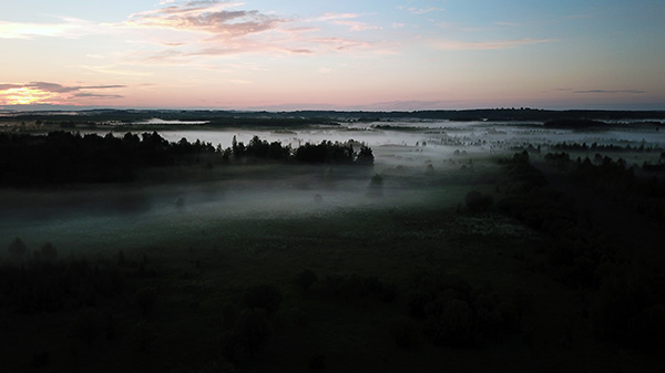 brouillard