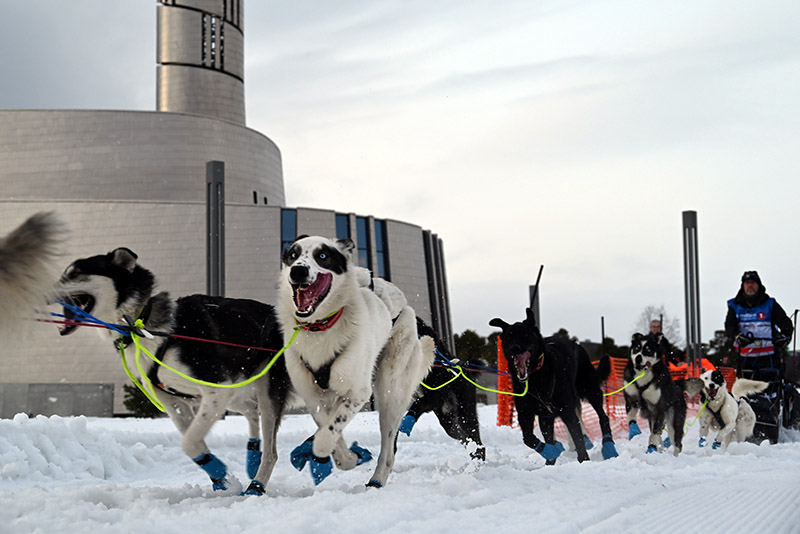 finnmarkslopet