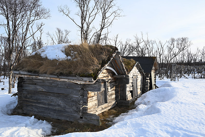 cabane