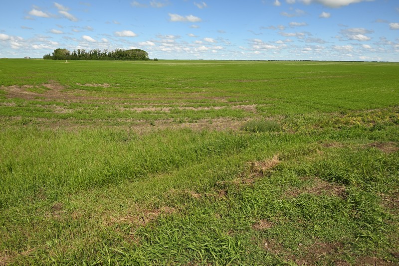 terres agricoles