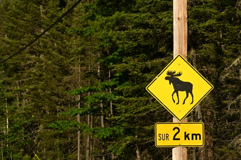 panneau routier canada