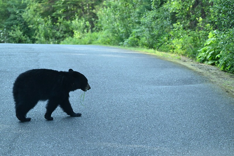 ours