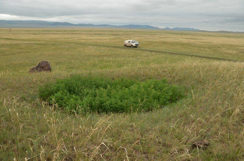 russie par la route sibrie Kakassie sud de krasnoiarsk archologie histoire pierres leves monuments mgalithiques tumulus kurgan valle des tsars vw t3 transporter volkswagen syncro