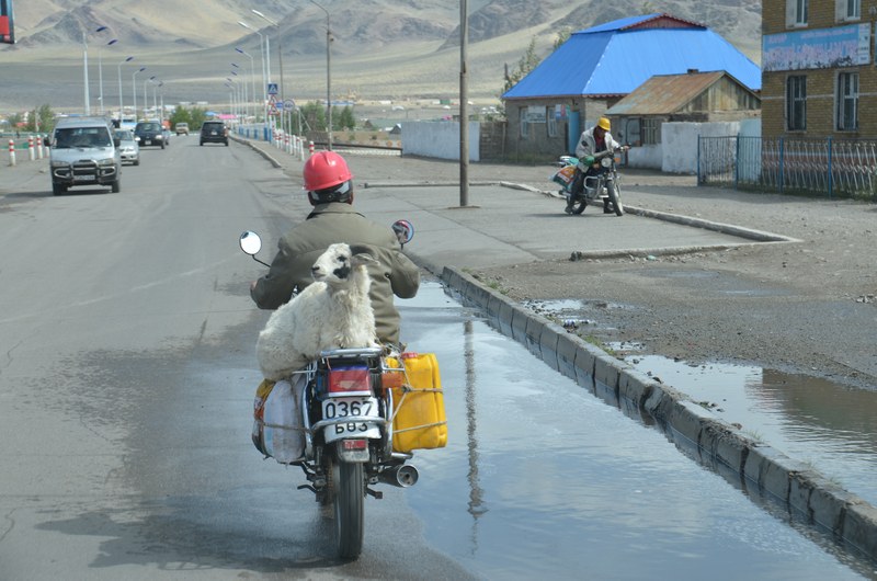 russie mongolie par la route altai alta rue voitures motos transport chevre