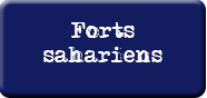 vues ariennes forts sahariens sahara dfenses algrie niger