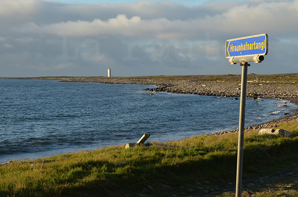 islande cap hraunhafnartangi point le plus au nord plage galets bois flotts phare