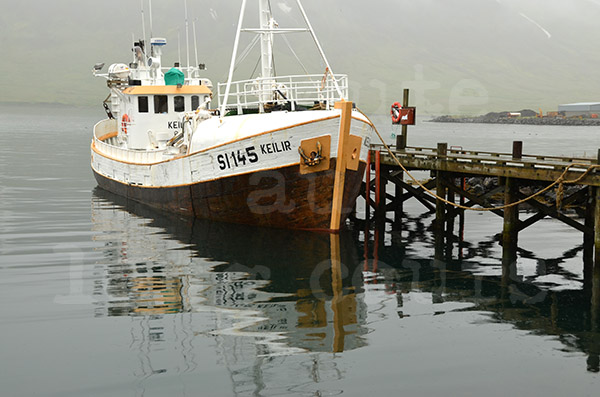 islande  pninsule de trollaskagi siglo siglufjordur hareng pche port de pche bateau chalutier