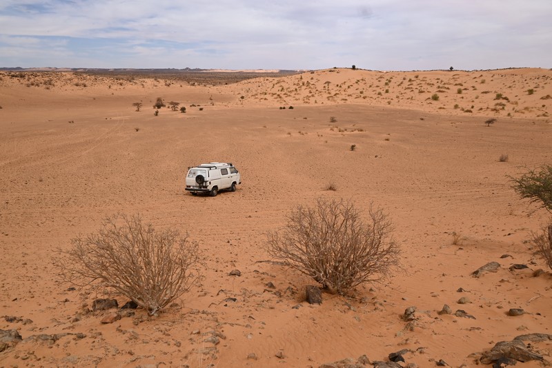 meteorite mauritanie